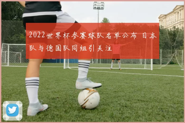 2022世界杯参赛球队名单公布 日本队与德国队同组引关注